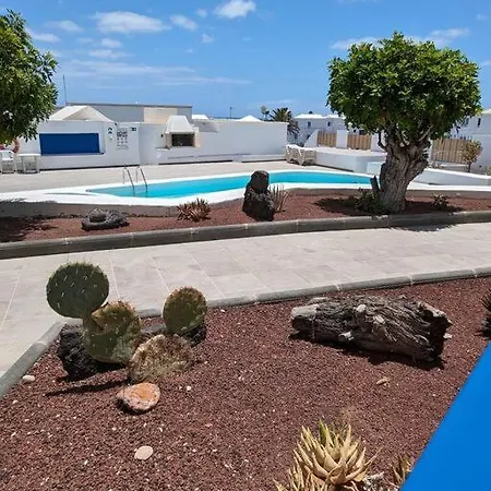 Three Orchids * Tías