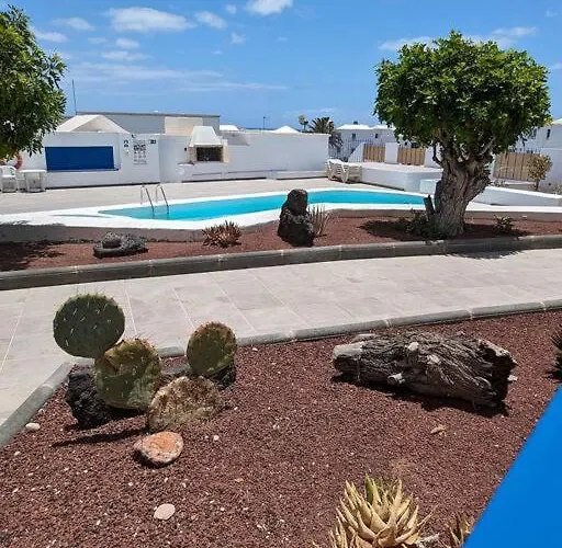 Three Orchids * 티아즈