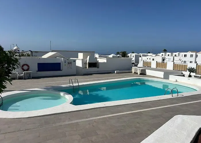 Three Orchids 티아즈