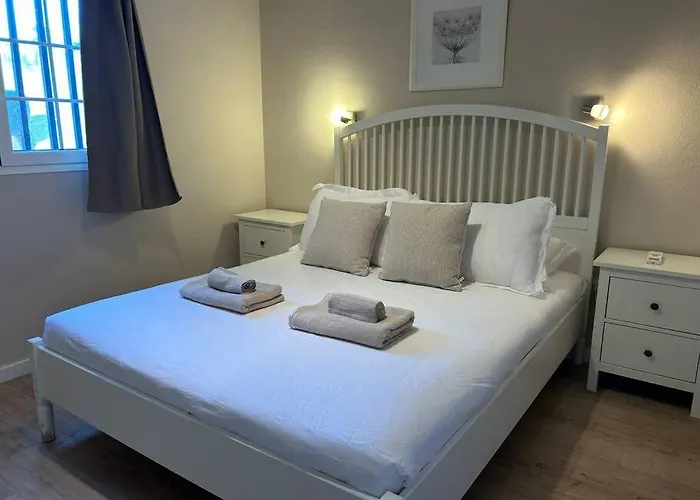 Three Orchids 티아즈